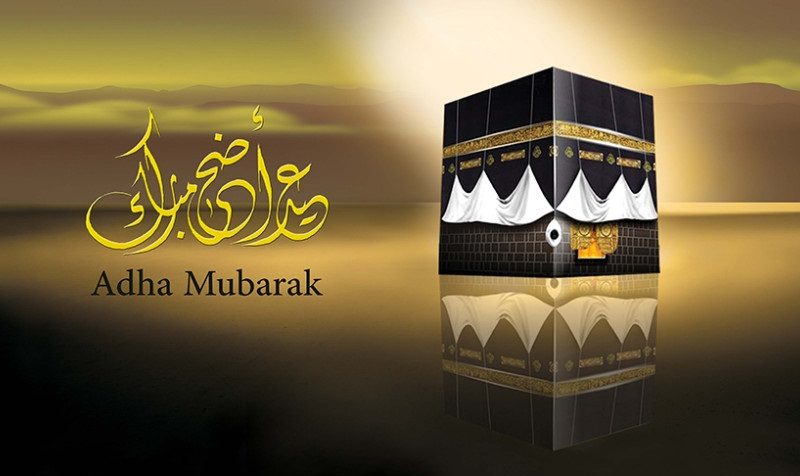 13 رقم مجموعة الصور