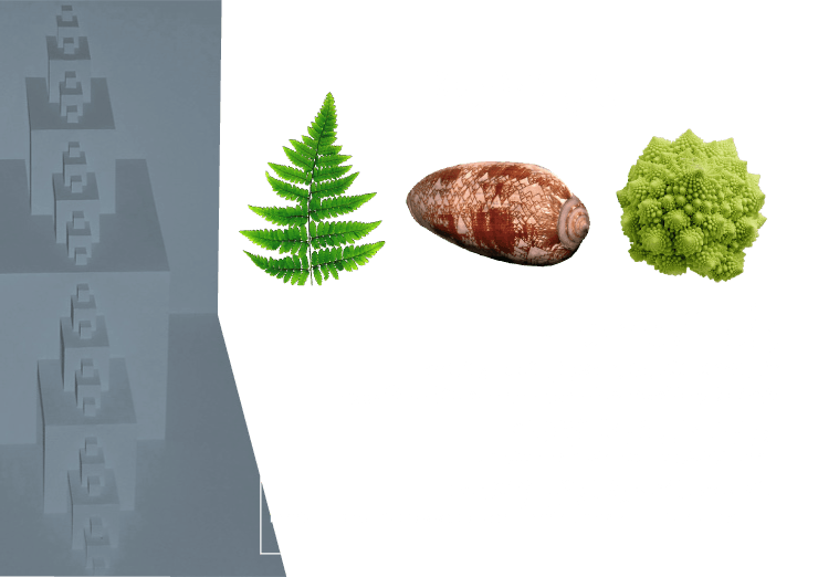 11 رقم مجموعة الصور