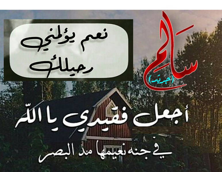 14 رقم مجموعة الصور