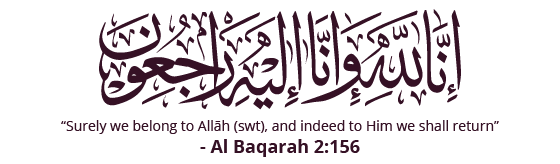 16 رقم مجموعة الصور