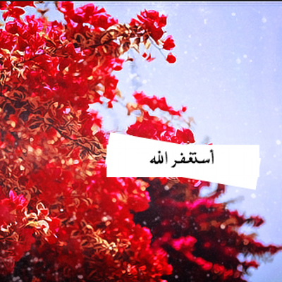 10 رقم مجموعة الصور