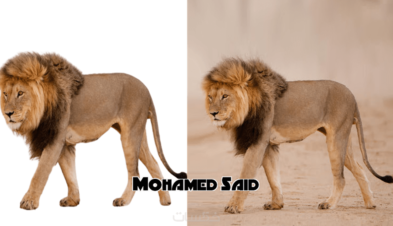 12 رقم مجموعة الصور