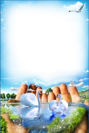 3 رقم مجموعة الصور