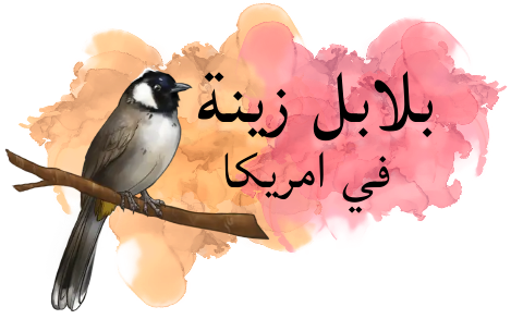 7 رقم مجموعة الصور