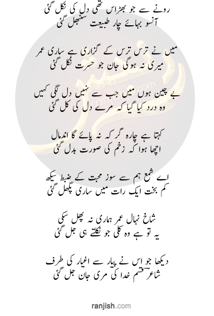 11 رقم مجموعة الصور