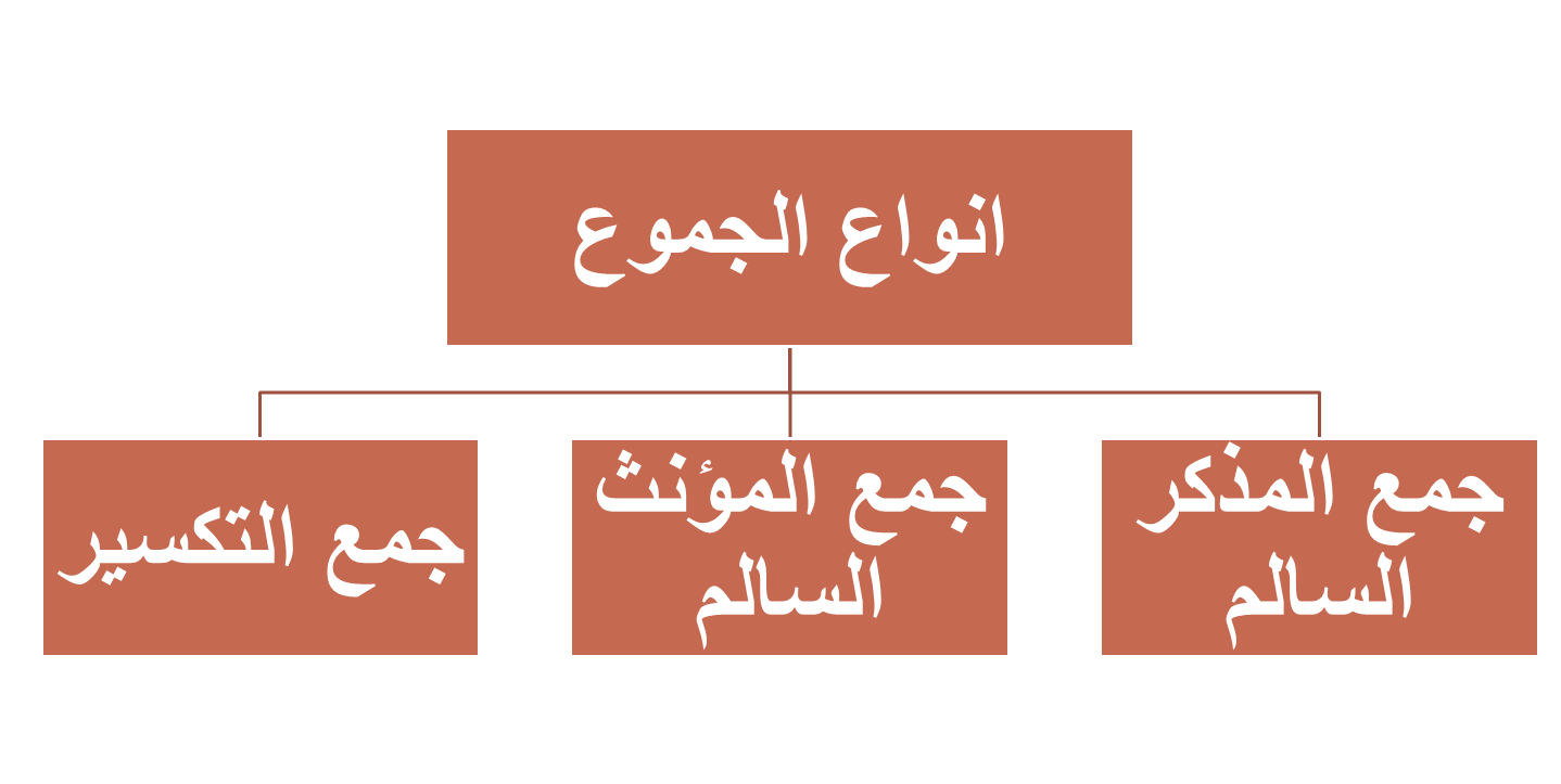 15 رقم مجموعة الصور