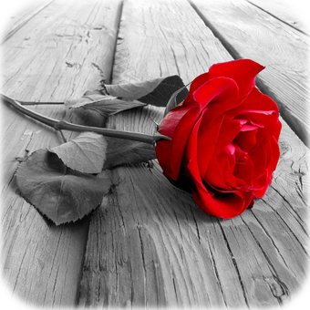 7 رقم مجموعة الصور