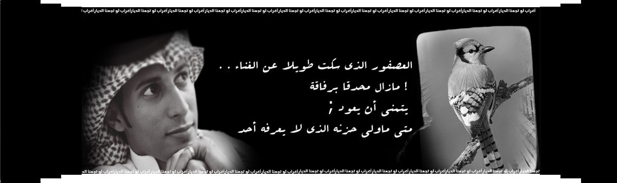 6 رقم مجموعة الصور