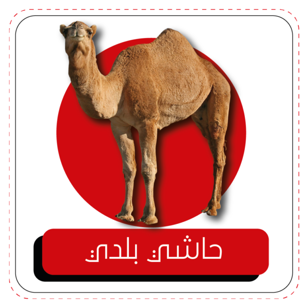 8 رقم مجموعة الصور