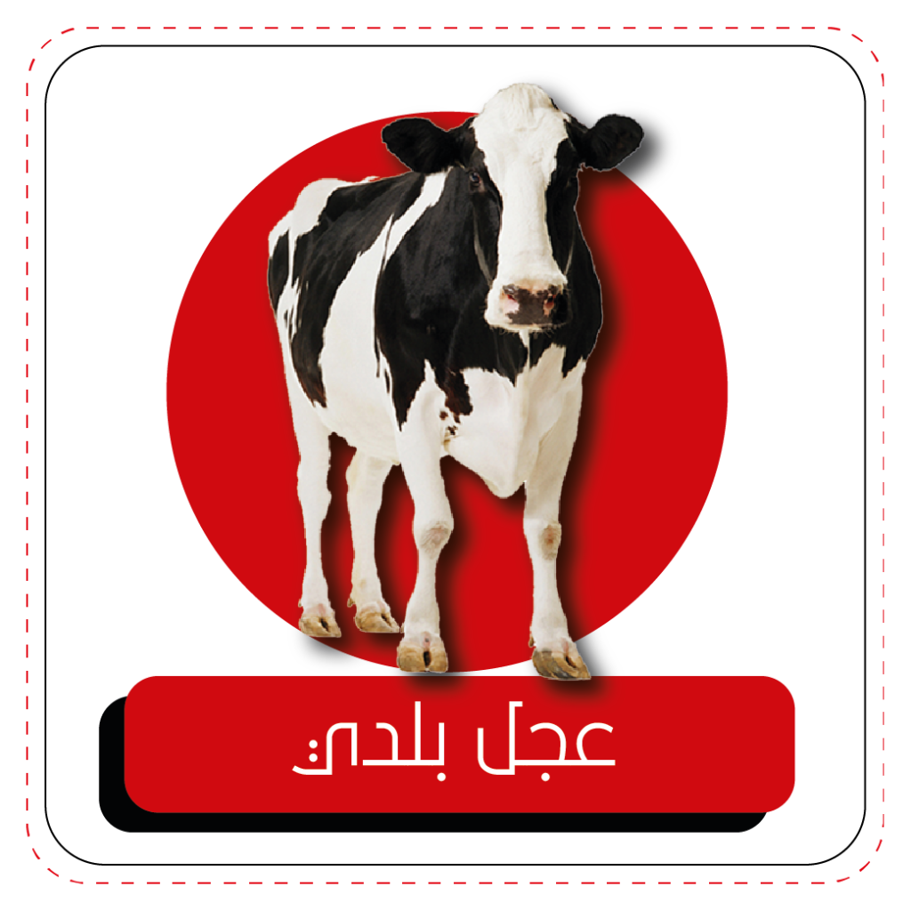 9 رقم مجموعة الصور
