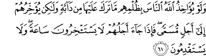 13 رقم مجموعة الصور