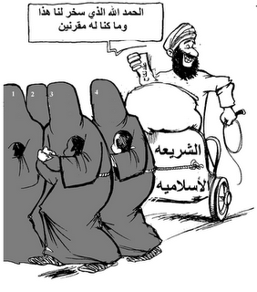 13 رقم مجموعة الصور