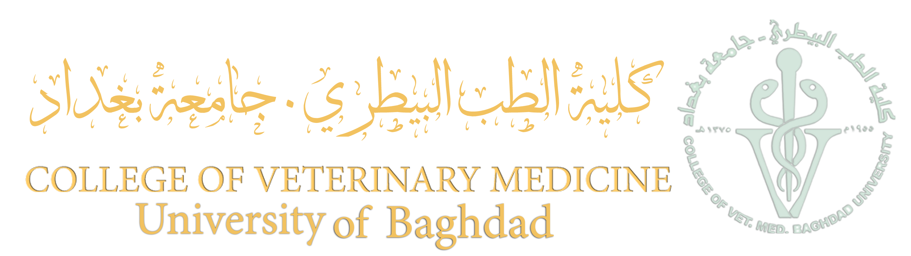 10 رقم مجموعة الصور