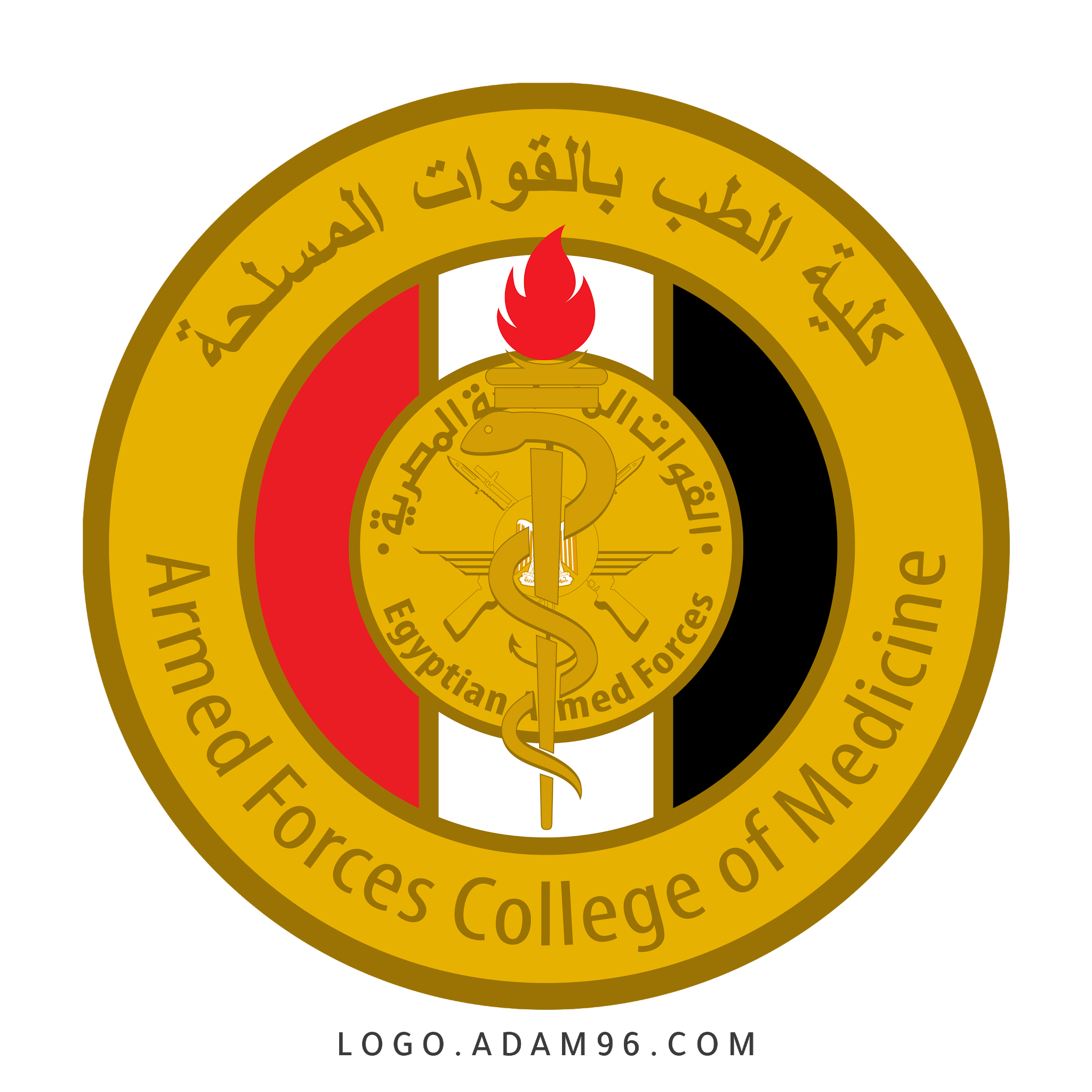 14 رقم مجموعة الصور