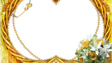 9 رقم مجموعة الصور