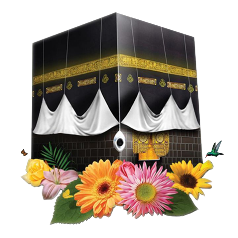 13 رقم مجموعة الصور