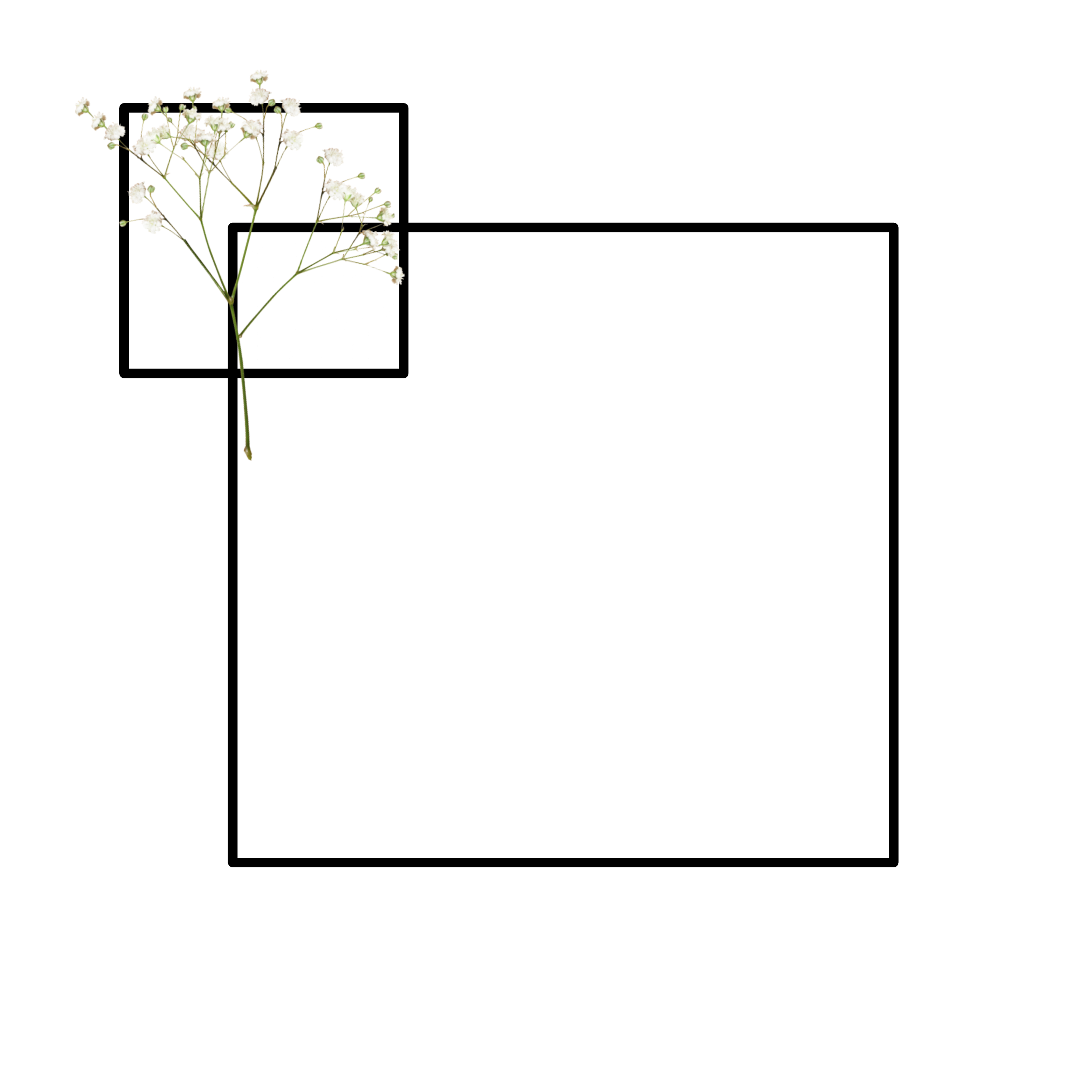 4 رقم مجموعة الصور