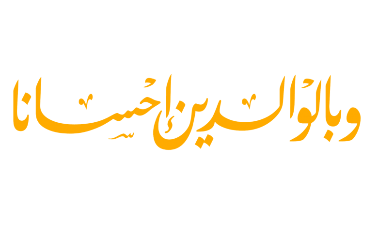 11 رقم مجموعة الصور
