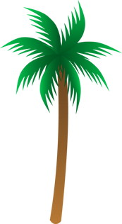 12 رقم مجموعة الصور