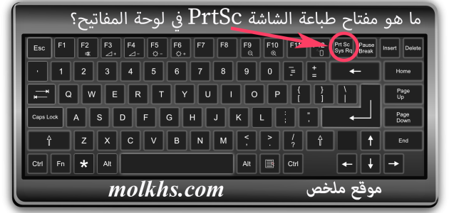 4 رقم مجموعة الصور