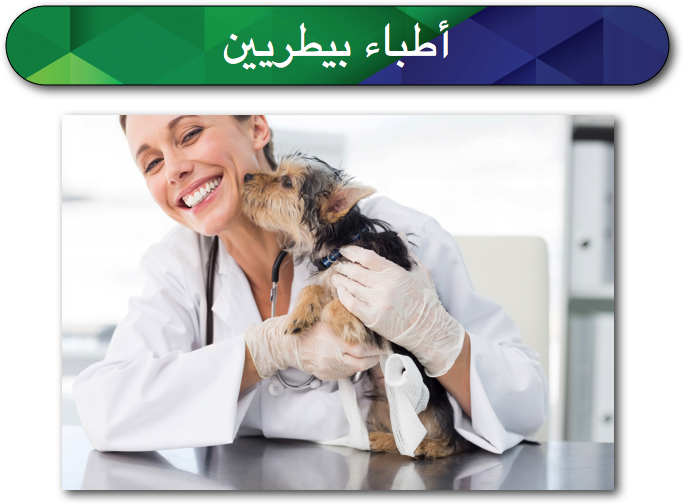 طبيب بيطري - KibrisPDR
