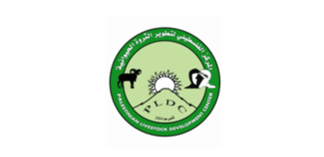 11 رقم مجموعة الصور
