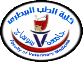 13 رقم مجموعة الصور