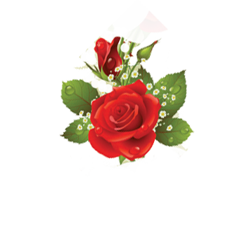 13 رقم مجموعة الصور