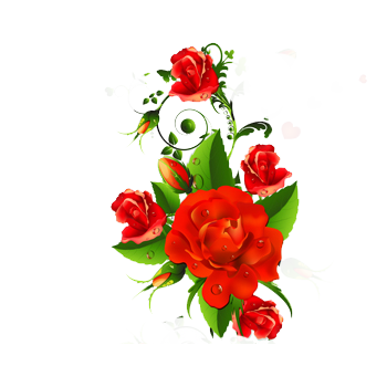 16 رقم مجموعة الصور