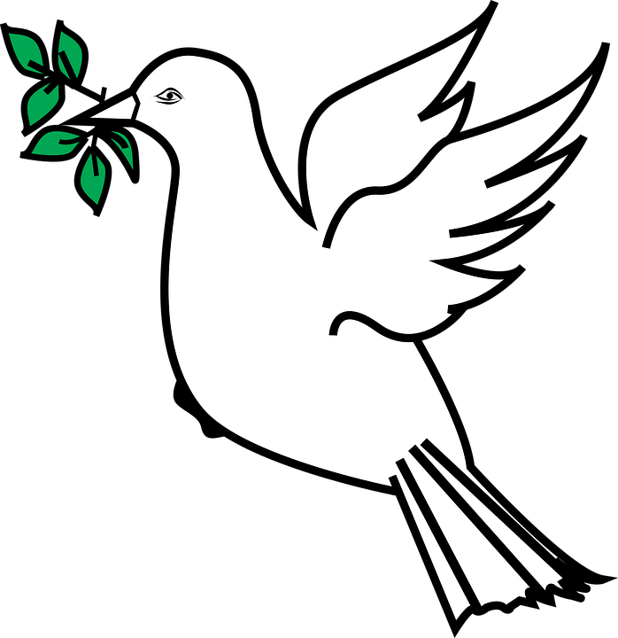 11 رقم مجموعة الصور