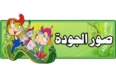 11 رقم مجموعة الصور