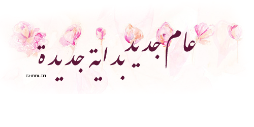 11 رقم مجموعة الصور