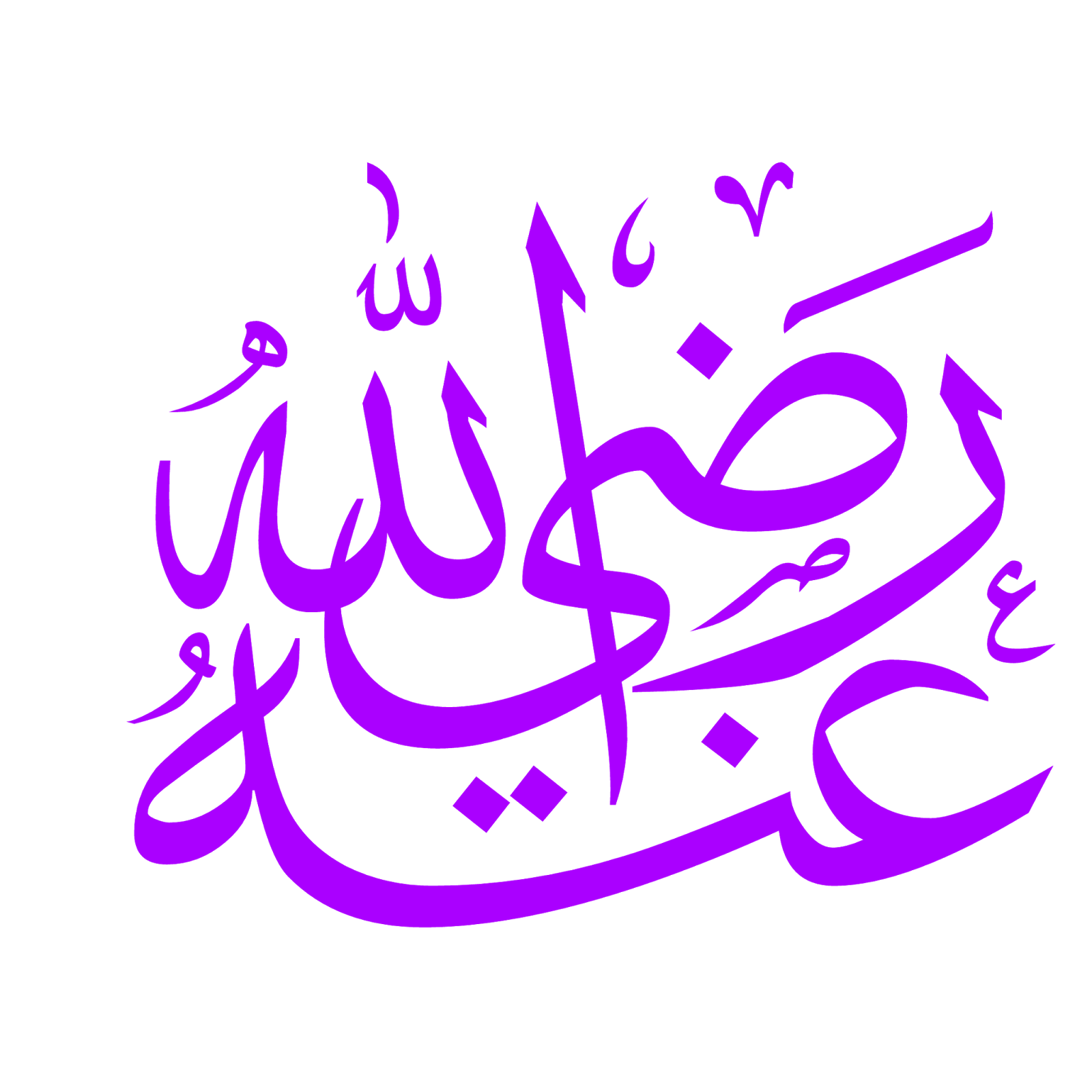 5 رقم مجموعة الصور
