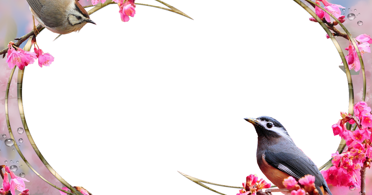 3 رقم مجموعة الصور