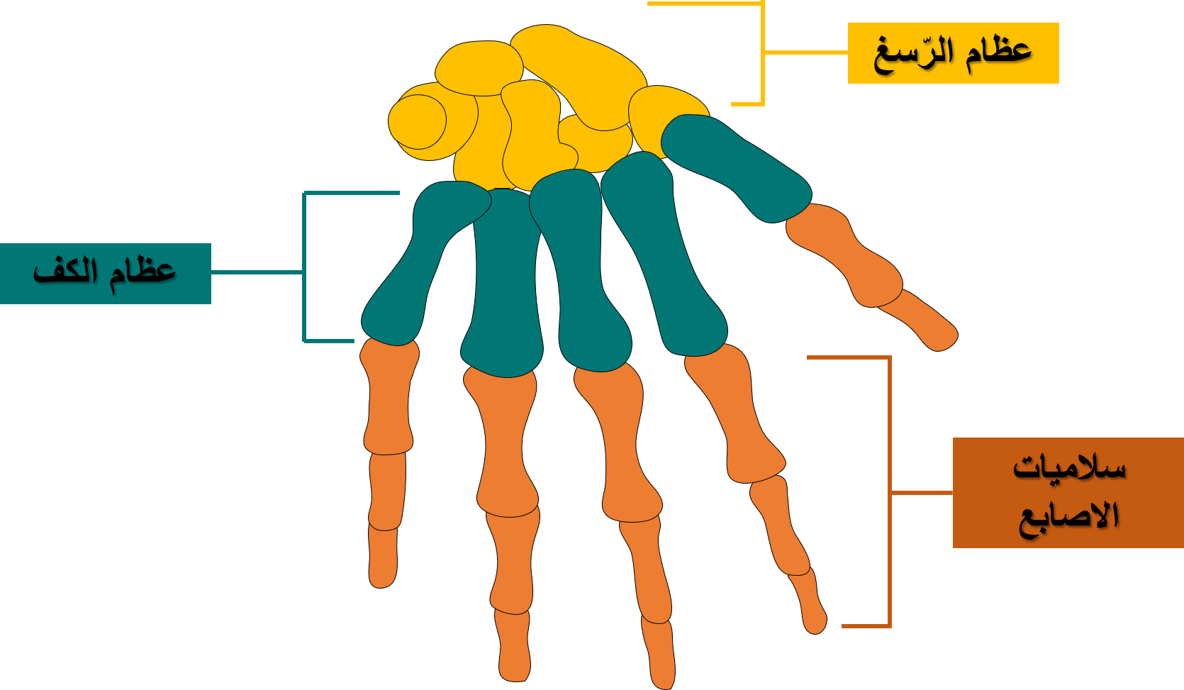 5 رقم مجموعة الصور