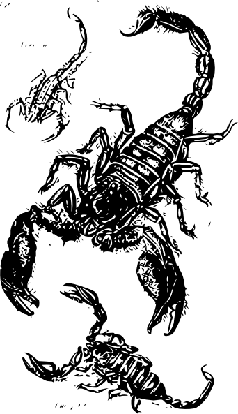 عقرب ابيض - KibrisPDR