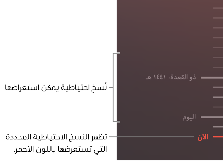 11 رقم مجموعة الصور