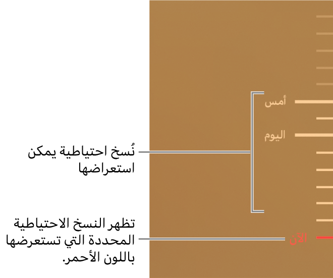 12 رقم مجموعة الصور
