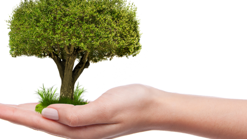 8 رقم مجموعة الصور
