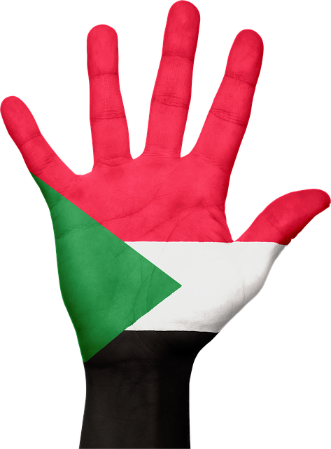 6 رقم مجموعة الصور