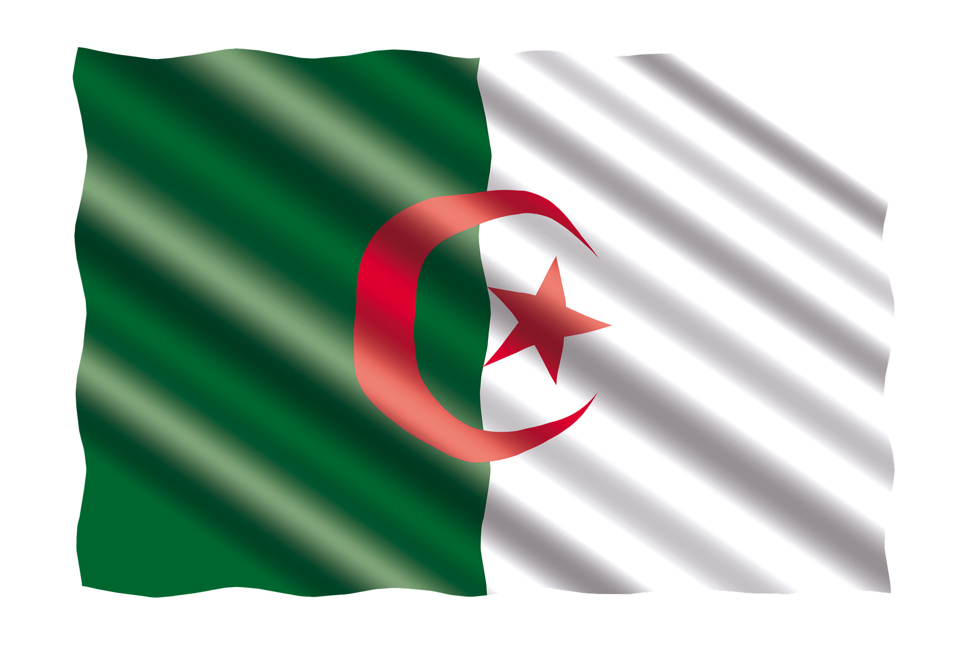 14 رقم مجموعة الصور