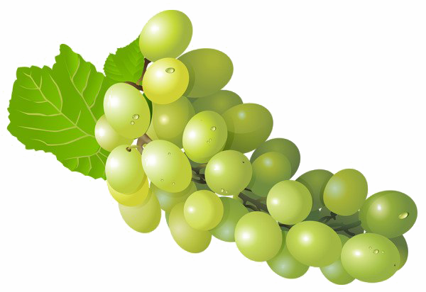 عنب اخضر - KibrisPDR