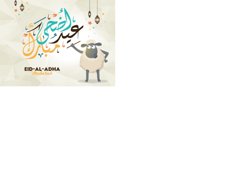 14 رقم مجموعة الصور