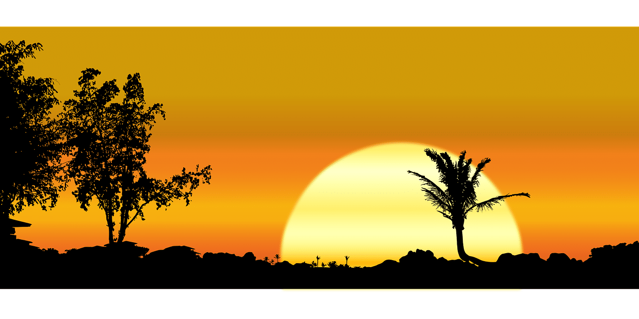 8 رقم مجموعة الصور