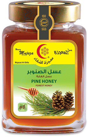 6 رقم مجموعة الصور