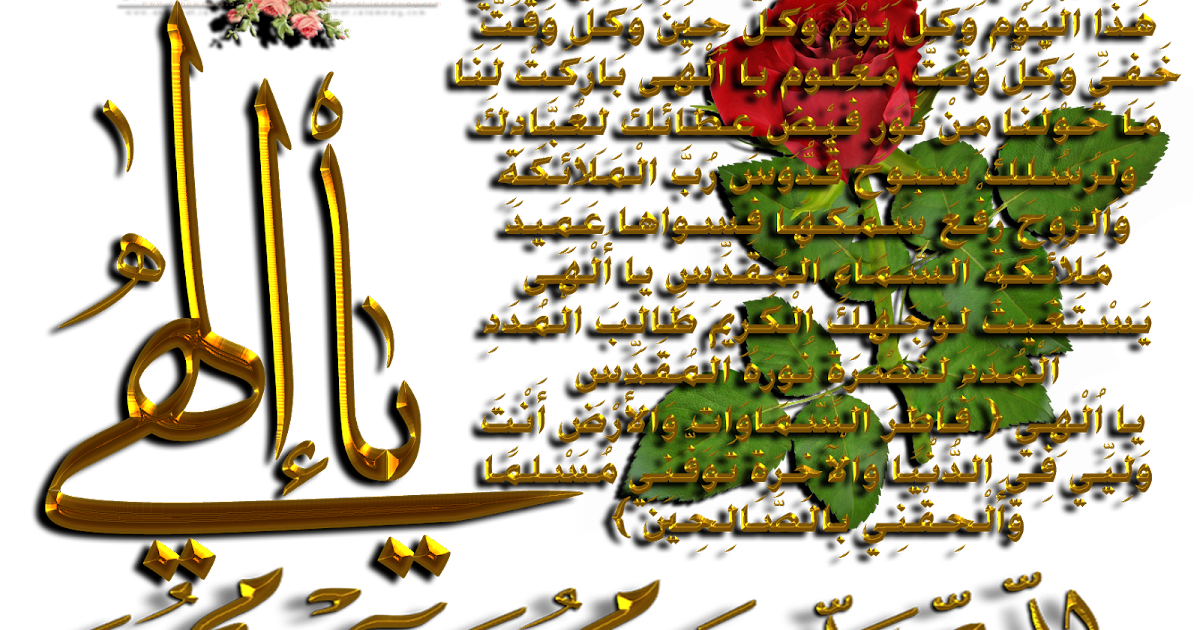 5 رقم مجموعة الصور