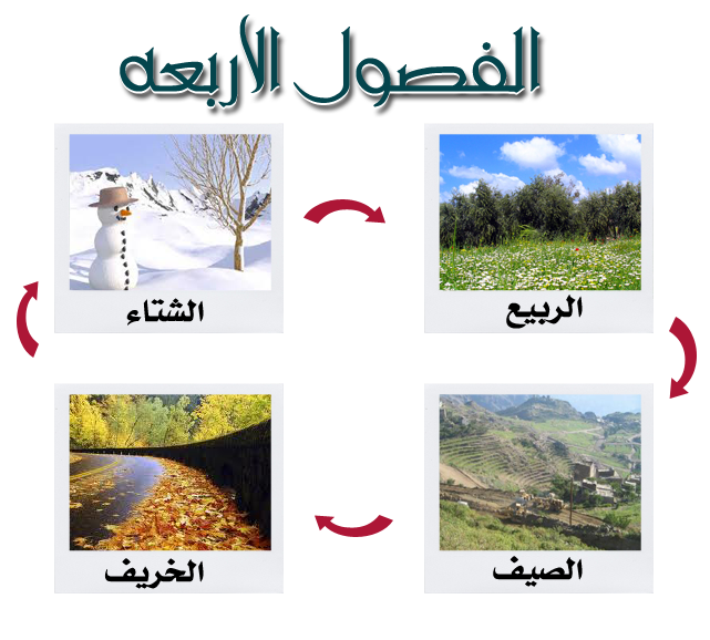 17 رقم مجموعة الصور