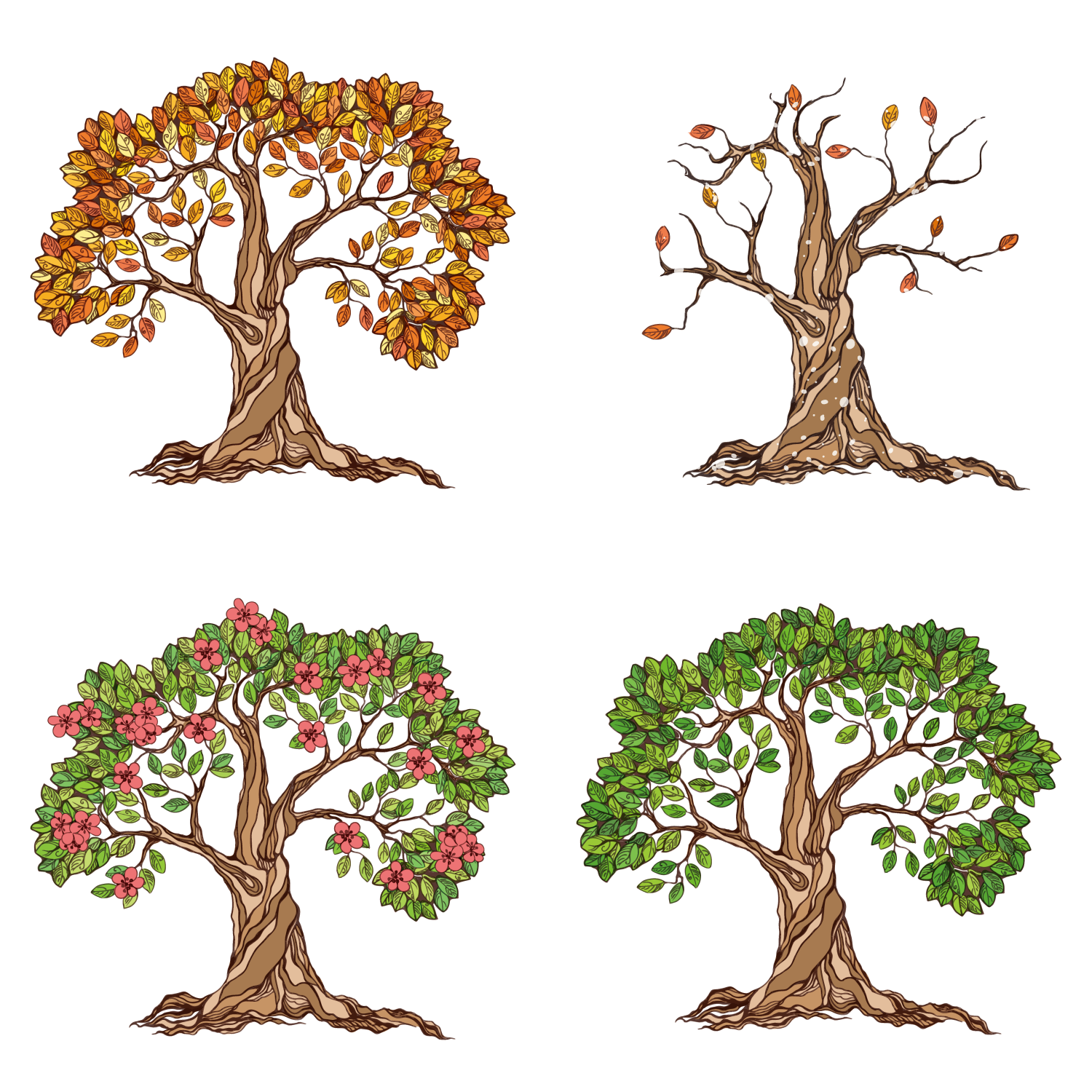 4 رقم مجموعة الصور
