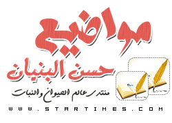 4 رقم مجموعة الصور