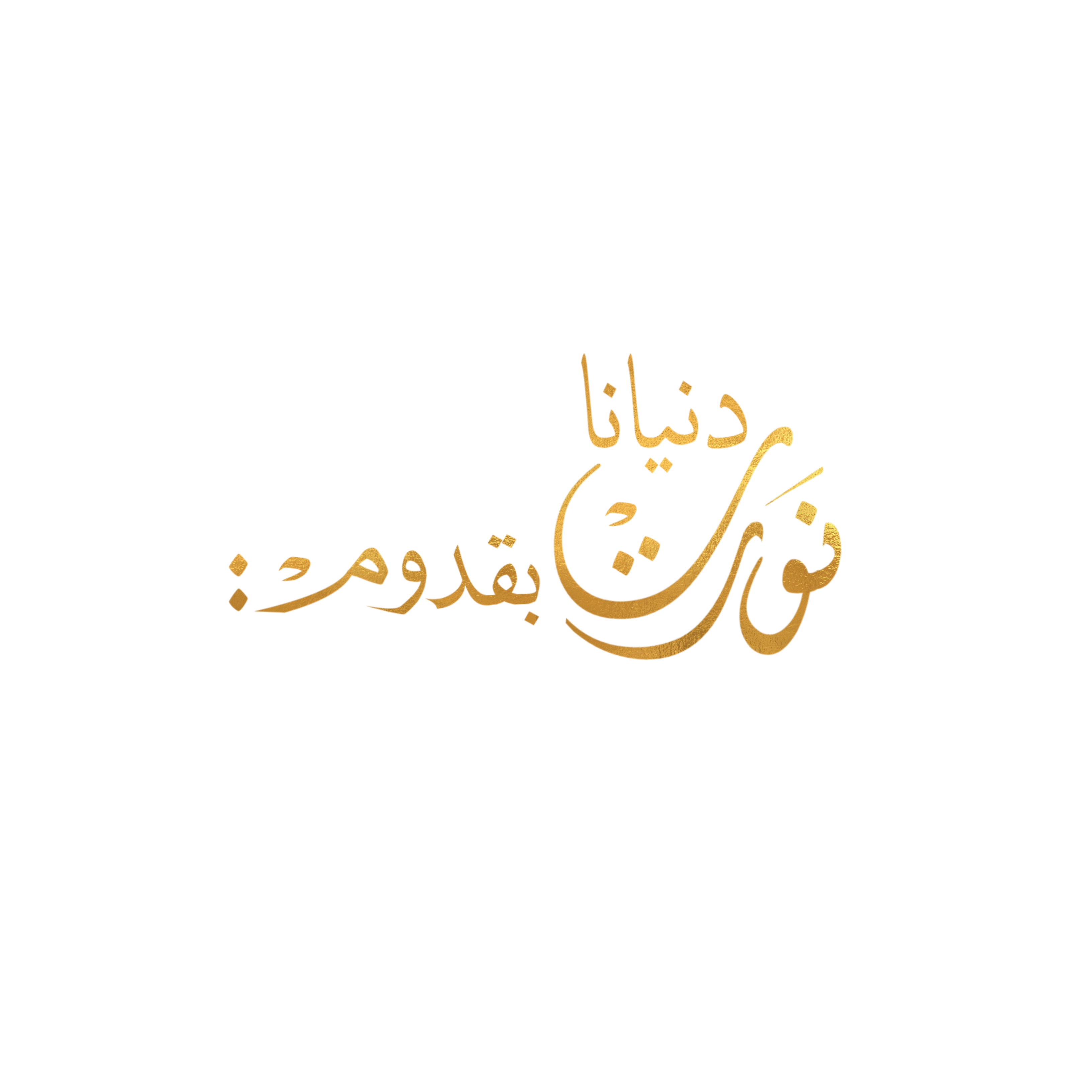 8 رقم مجموعة الصور